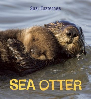 Eye on the Wild: Sea Otter 1847803008 Book Cover