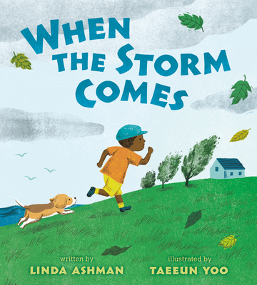 When the Storm Comes B0FSJWLDNQ Book Cover