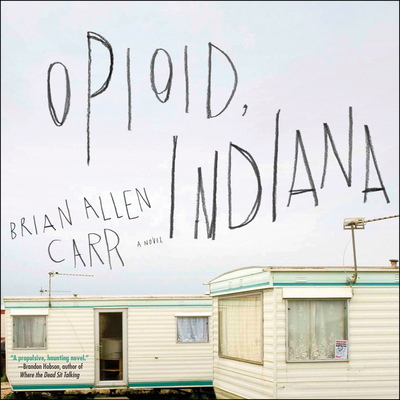 Opioid, Indiana 1684574374 Book Cover