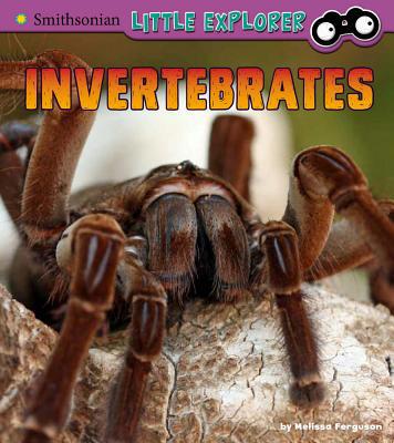Invertebrates: A 4D Book 1543526519 Book Cover