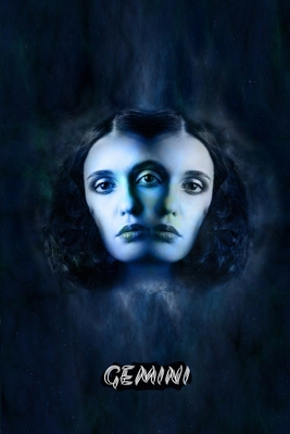 Gemini: Celestial zodiac signs Journal / Astrol... 1660805023 Book Cover
