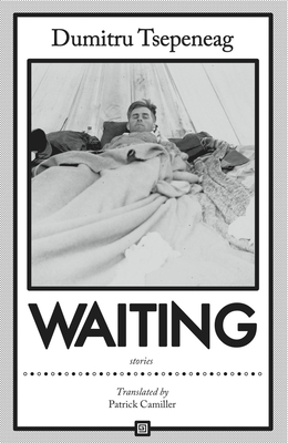 Waiting: Stories: Stories 1564789012 Book Cover