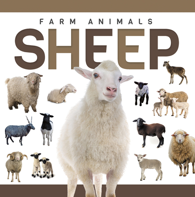 Sheep B0FFTQXXF5 Book Cover