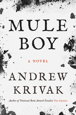 Mule Boy 195427646X Book Cover
