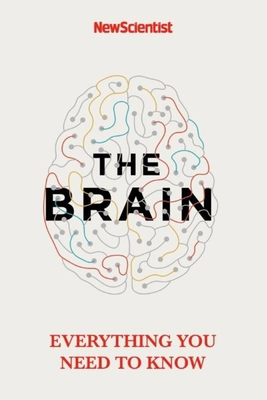 The Brain: Everything You Need to Know 1473629373 Book Cover