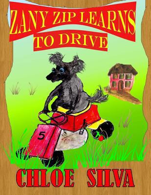 Zany Zip Learns to Drive 1508519552 Book Cover