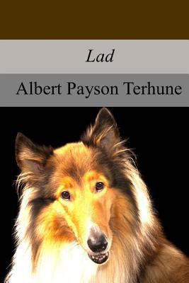 Lad: A Dog 1974279928 Book Cover