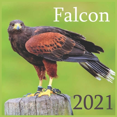 Falcon: 2021 Wall & Office Calendar, 12 Month Calendar