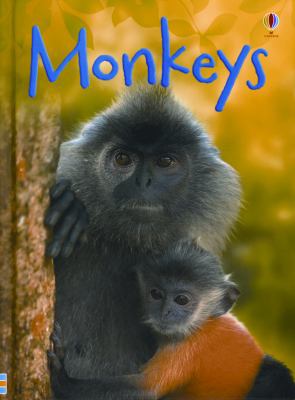 Monkeys (Usborne Beginners) 079452978X Book Cover