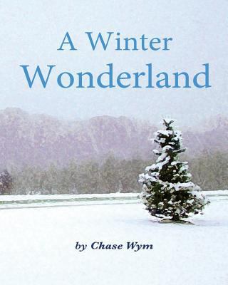 A Winter Wonderland 151523391X Book Cover