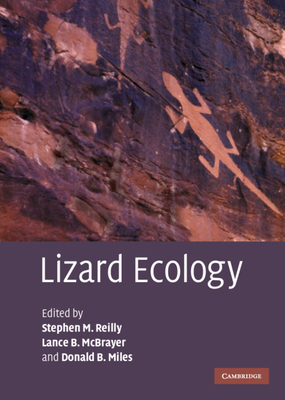 Lizard Ecology: The Evolutionary Consequences o... 0521833582 Book Cover