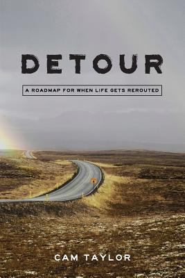 Detour: A Roadmap For When Life Gets Rerouted 0995096864 Book Cover