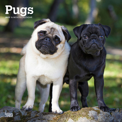 Pugs 2025 12 X 24 Inch Monthly Square Wall Cale... 1975477588 Book Cover