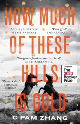 How Much of These Hills is Gold EXPORT 0349011478 Book Cover