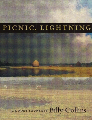 Picnic, Lightning 0822940663 Book Cover