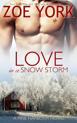 Love in a Snow Storm 1926527062 Book Cover