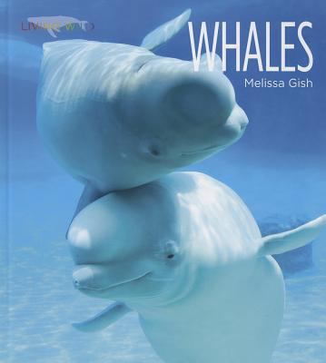 Whales 1608180840 Book Cover