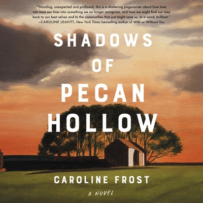 Shadows of Pecan Hollow Lib/E B09FC9YNX8 Book Cover