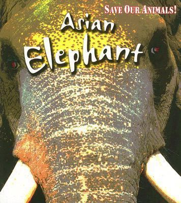 Asian Elephant (Save Our Animals!) 1403478104 Book Cover