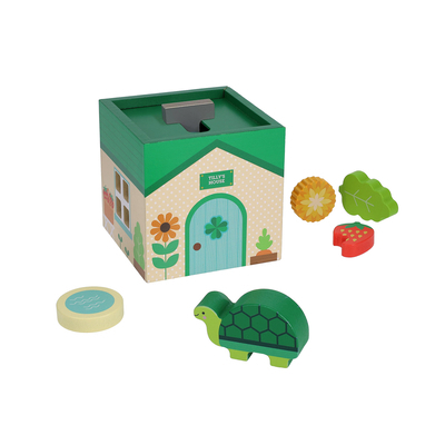 Petit Pals: Tilly Tortoise 1797234811 Book Cover
