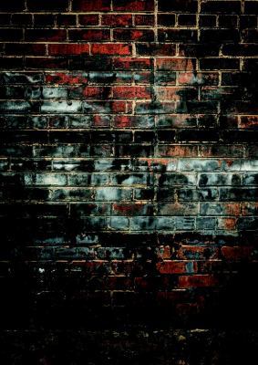 From Congress to the Brothel: A Journey of Hope... B081LMDPDG Book Cover