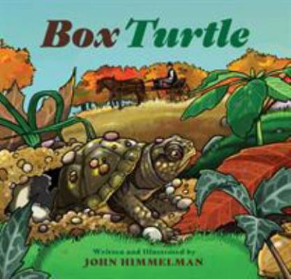 Box Turtle 1630763314 Book Cover