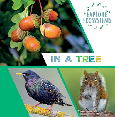 In a Tree 1482478749 Book Cover