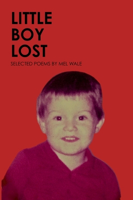 Little Boy Lost            Book Cover
