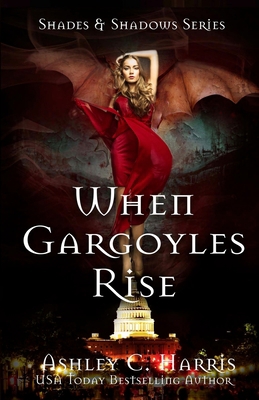 When Gargoyles Rise 197439736X Book Cover