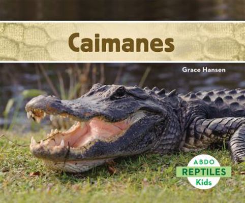 Caimanes (Alligators) [Spanish] 1629703516 Book Cover