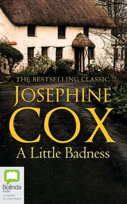 A Little Badness 1867599899 Book Cover