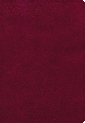 CSB Holy Land Illustrated Bible, Burgundy Leathertouch, Indexed: A Visual Exploration of the People, Places, and Things of Scripture [Book]