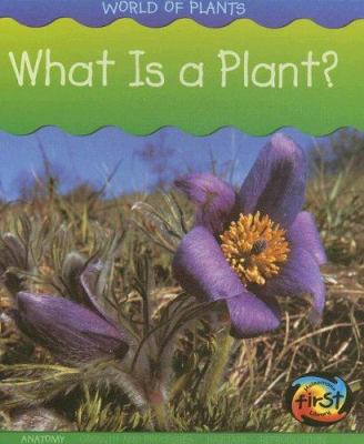 What Is a Plant? 1403473617 Book Cover