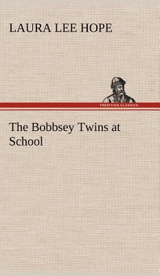 The Bobbsey Twins at School 3849178943 Book Cover