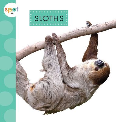 Sloths 164549263X Book Cover