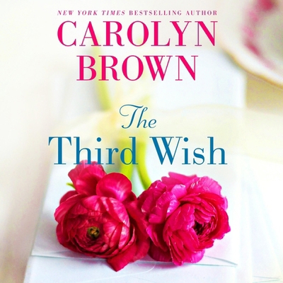 The Third Wish B0CPJGJ6P1 Book Cover