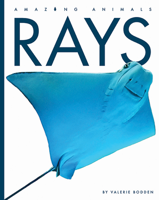 Rays 1640265155 Book Cover