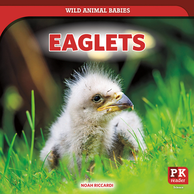 Eaglets 1538295423 Book Cover