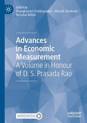 Advances in Economic Measurement: A Volume in H... 9811920257 Book Cover