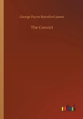 The Convict 3734012104 Book Cover