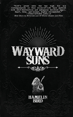 Wayward Suns B0D8S8WQG2 Book Cover