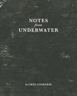 Hardcover Notes from Underwater Book