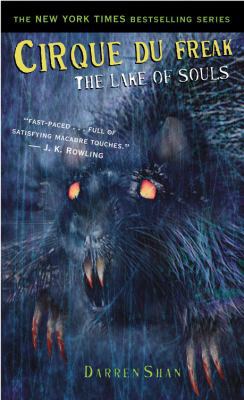 The Lake of Souls 0316154377 Book Cover