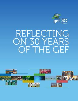 Paperback Reflecting on 30 Years of the Gef Book