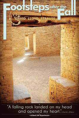 Footsteps After the Fall: A falling rock landed... 0615438377 Book Cover