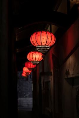 Paperback Line Journal Volume 75 Book