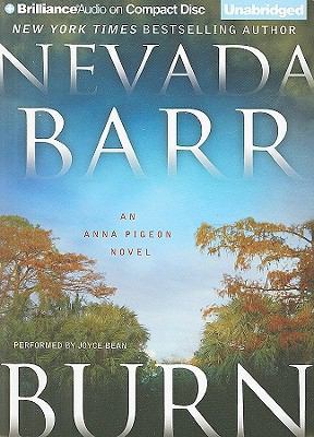 Burn 1441816011 Book Cover