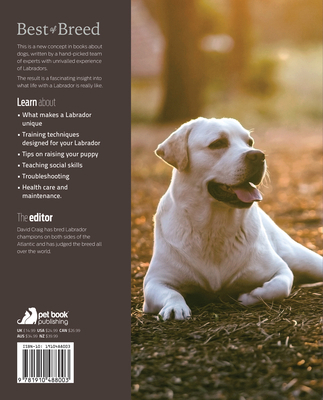 The Labrador: Your Essential Guide from Puppy t... 1910488003 Book Cover