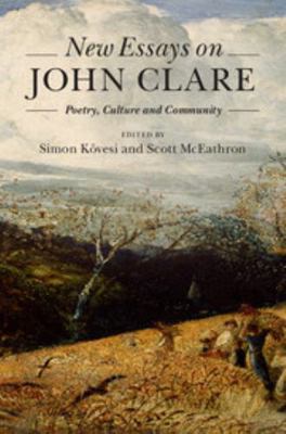 New Essays on John Clare 1107031117 Book Cover