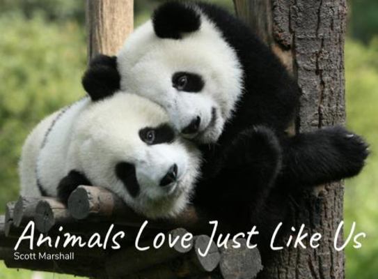 Animals Love Just Like Us 0999450654 Book Cover